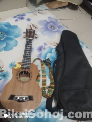 ইউকে লেলে ২১ ইঞ্চি